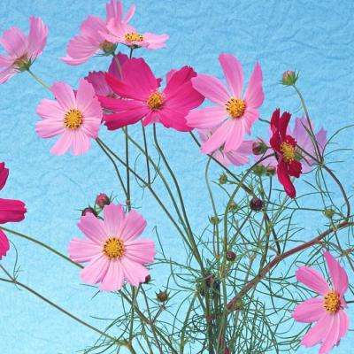 开云网kaiyun手机app下载